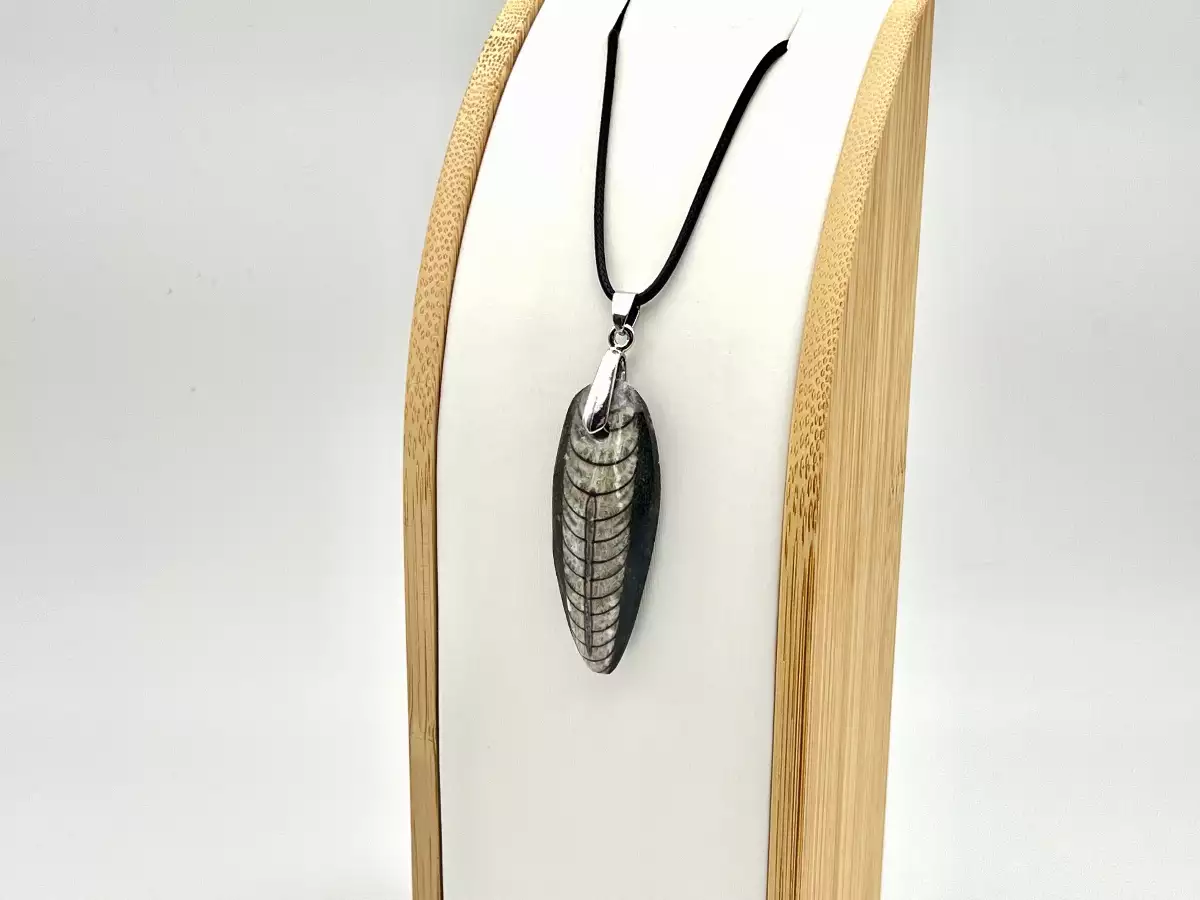 Pendentif en orthoceras