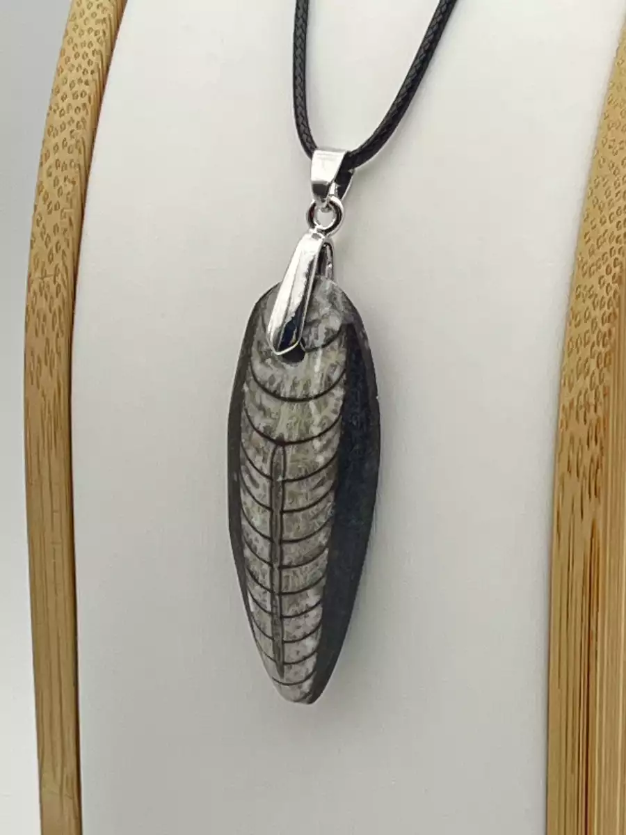 Pendentif en orthoceras