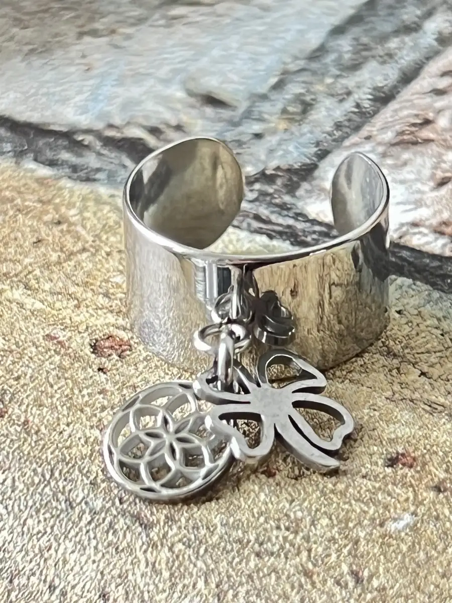 Bague acier inoxydable