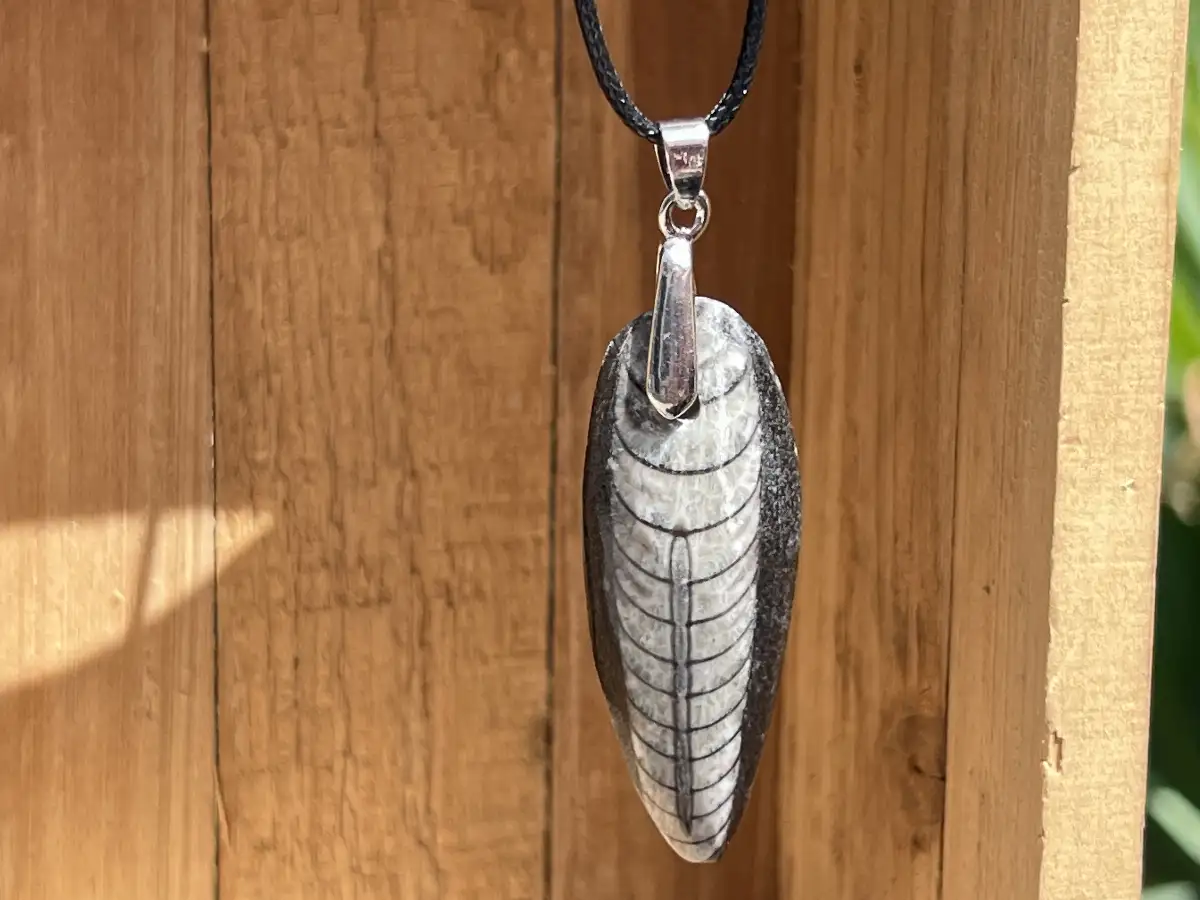 Pendentif en orthoceras