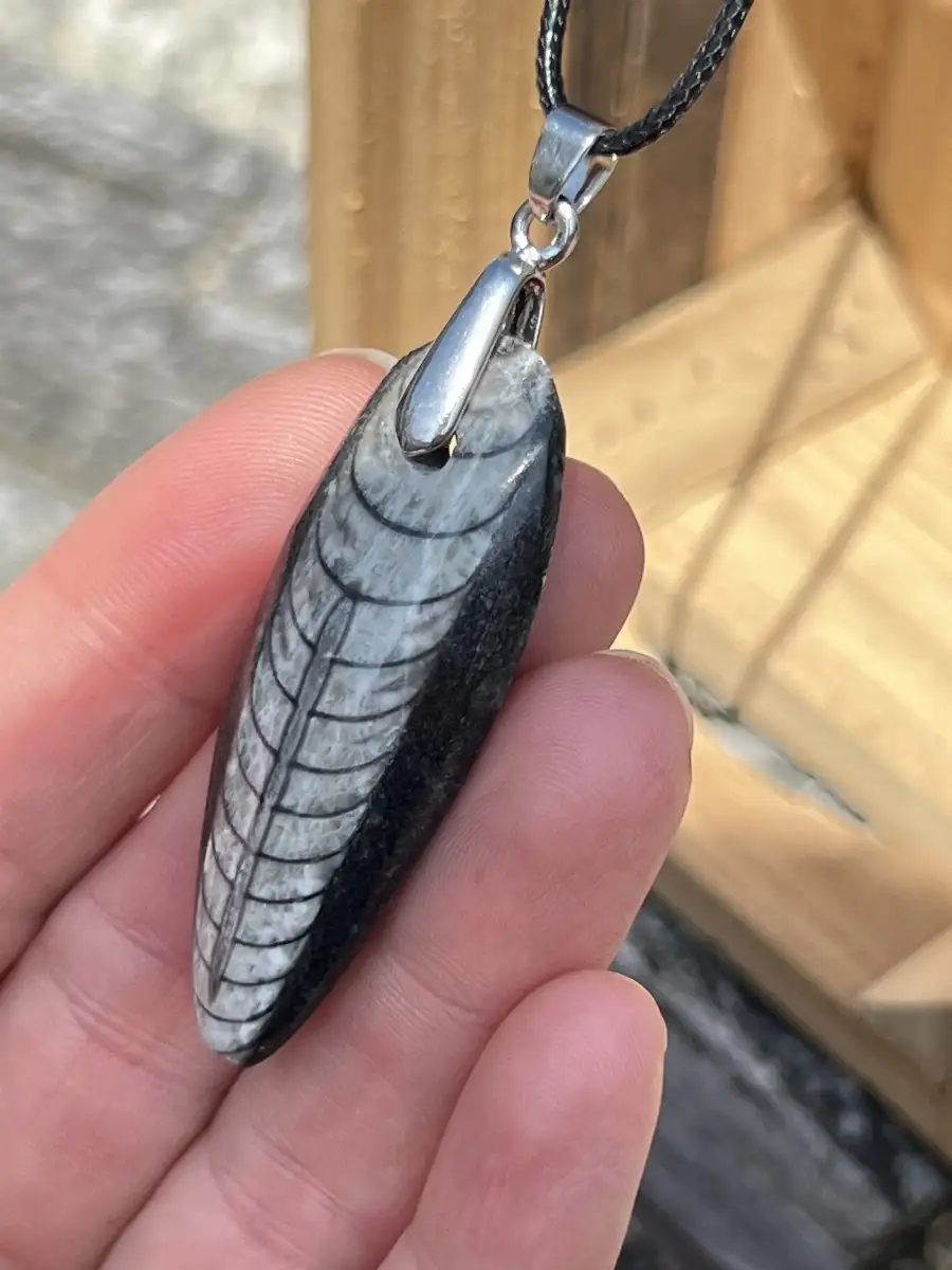 Pendentif en orthoceras
