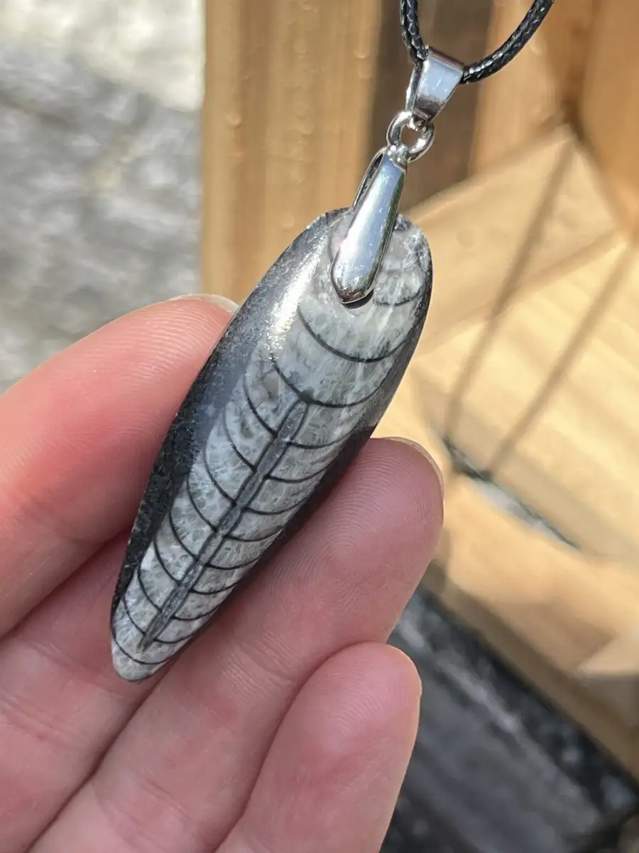 Pendentif en orthoceras