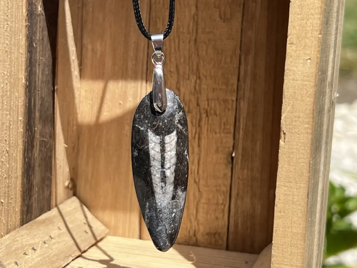 Pendentif en orthoceras