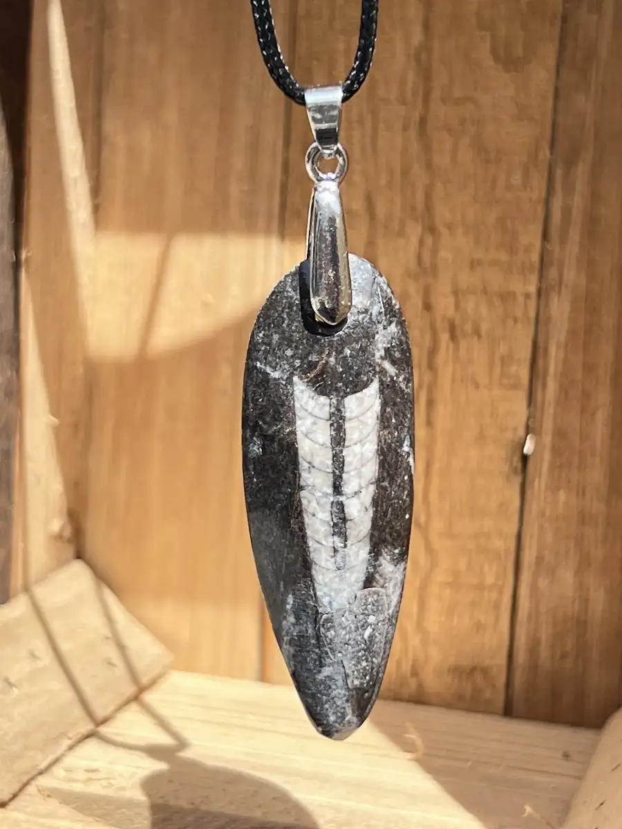 Pendentif en orthoceras
