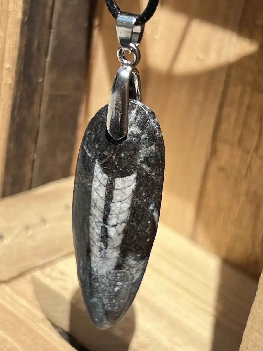 Pendentif en orthoceras