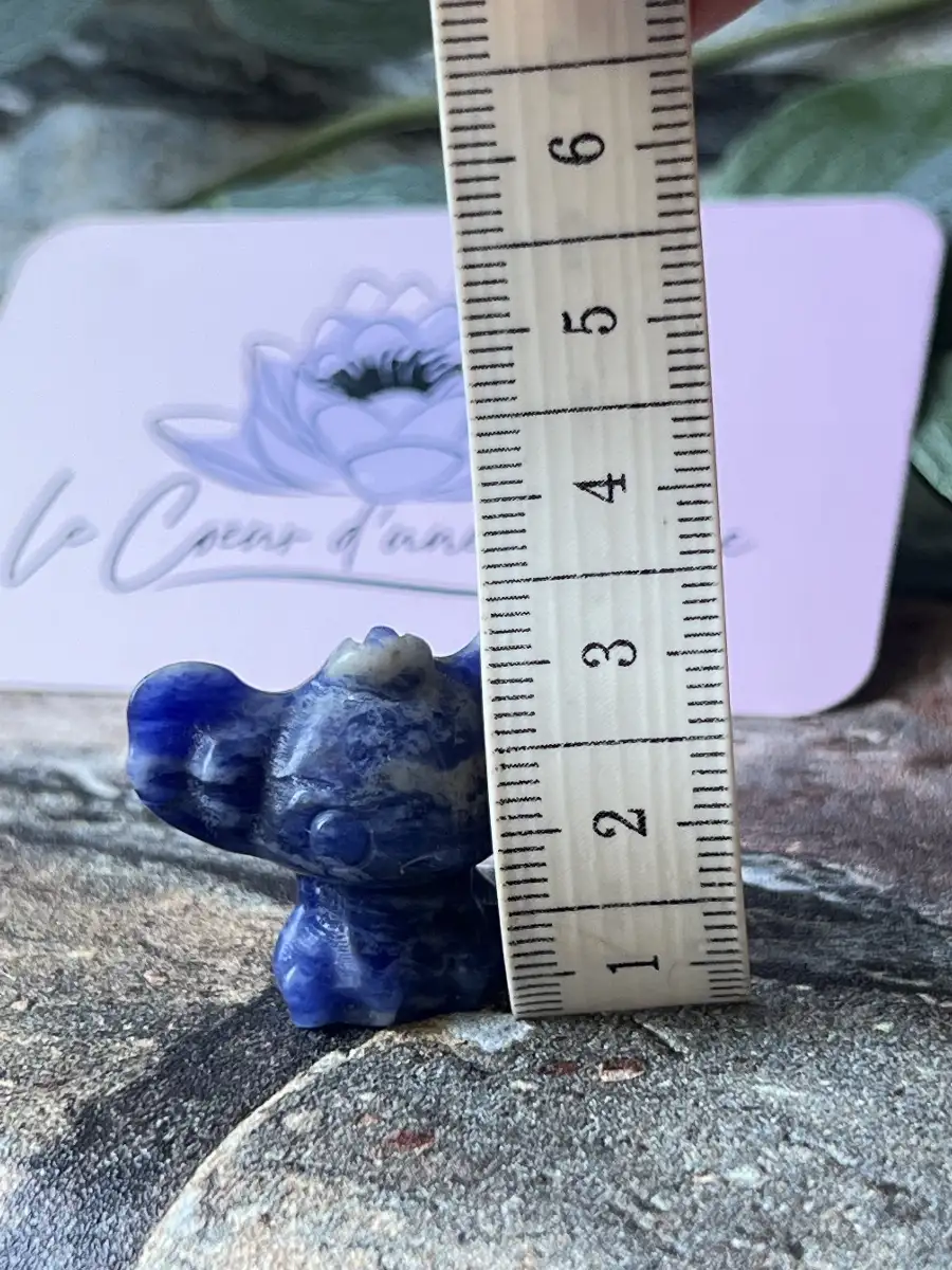 Sodalitch – Sodalite